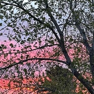 Meet your Posher, Natalee